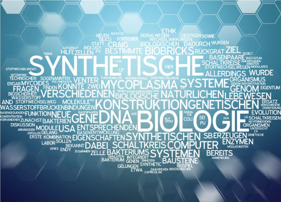  柏林联合防守固若金汤，零封对手收获宝贵三分